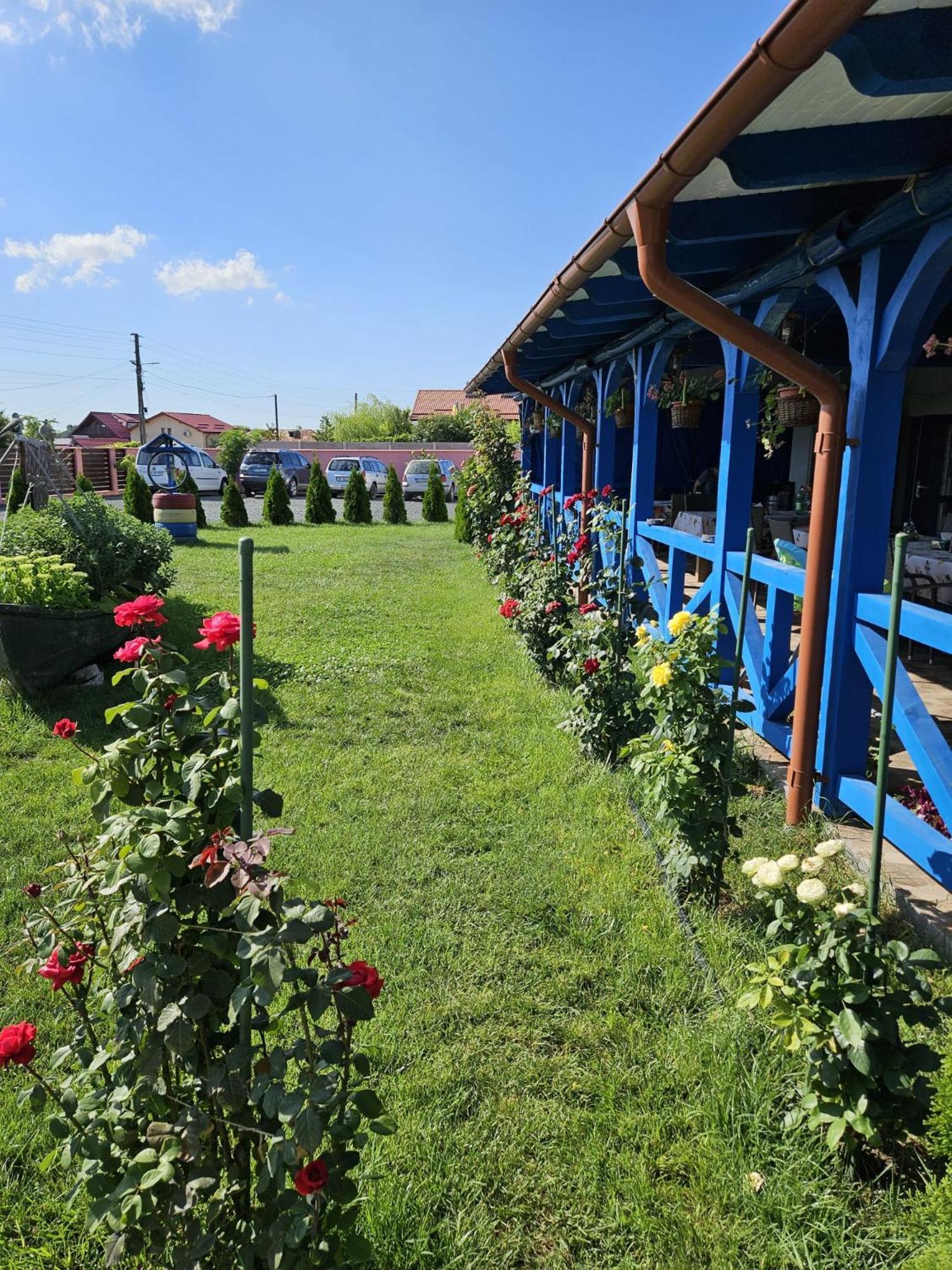 Agropensiuea Casa Uncu Hotel Murighiol Exterior foto