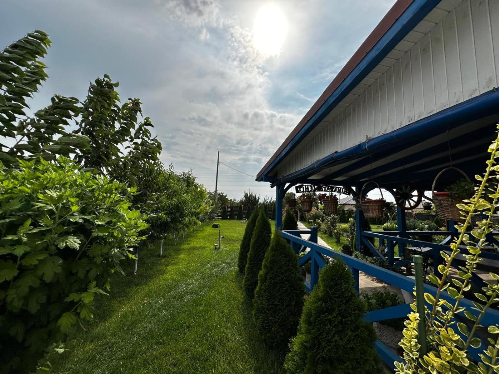 Agropensiuea Casa Uncu Hotel Murighiol Exterior foto
